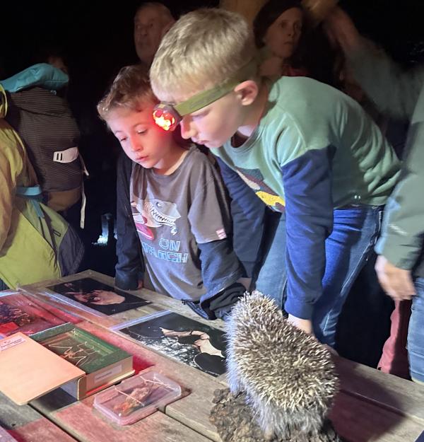 Kinder vor Tisch mit Anschauungsmaterial