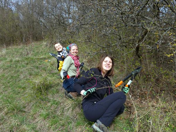 Jugendliche schneiden Hecken