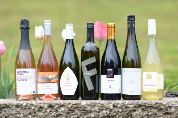 Die Sortenvielfalt bei den eingereichten Weinen spiegelt den Facettenreichtum der drei Weinbauregionen mit Anteil am Biosphärenpark Wienerwald wieder, nämlich Wagram, Thermenregion und Wien.