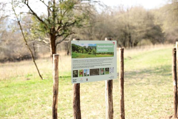 Infotafel auf Salzwiese