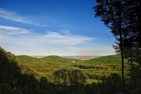 150 Jahre Rettung Wienerwald