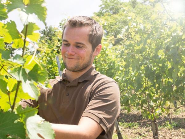 Weingut Hannes Hofer