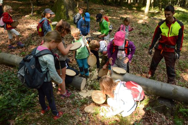 Waldferienwoche 2