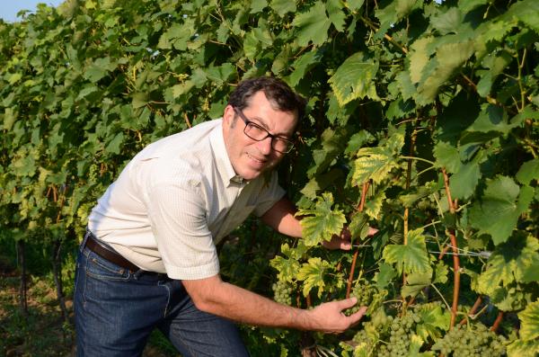Weingut Zechmeister