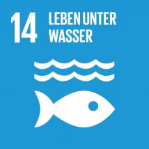 SDG - Leben unter Wasser 