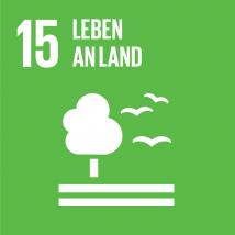 SDG - Leben an Land