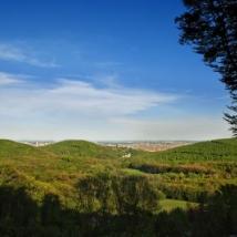 Blick über den Biosphärenpark Wienerwald