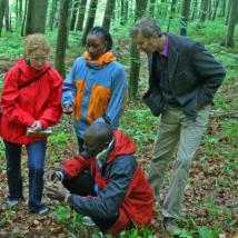 Gruppe im Wald