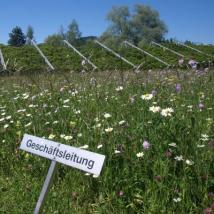 Naturnahes Firmengelände