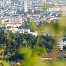 Blick durch Äste auf Stadtgebiet