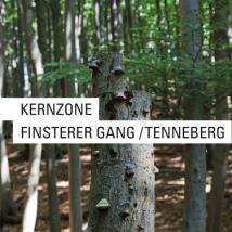 KZO_Finsterer Gang-Tenneberg_screen