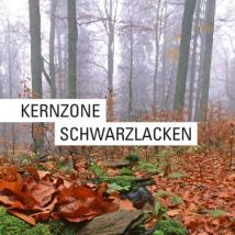 KZO_Schwarzlacken_screen