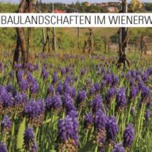 Cover Weinbaulandschaften