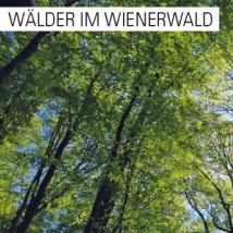 Cover Wälder im Wienerwald