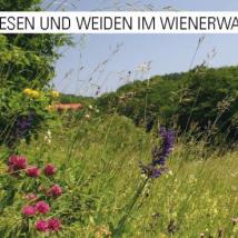 Cover Wiesen und Weiden