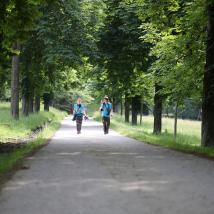 ExpertInnen beim Tag der Artenvielfalt im Lainzer Tiergarten 2016