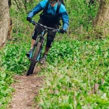 Mountainbiker unterwegs im Wienerwald