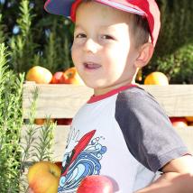 Am 20. Oktober erwartet die BesucherInnen am Obstbaumtag des Biosphärenpark Wienerwald ein buntes Programm zum Thema Obst.