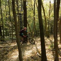 Mountainbiker im Wienerwald