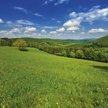 Glashütten Wiese von Lois Lammerhuber