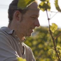 Weingut & Heuriger zur Weinbergstraße, Fam. Plos 