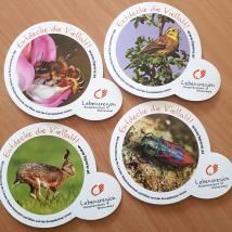 Die neuen Aufkleber weisen auf besondere Tier- und Pflanzenarten im Biosphärenpark Wienerwald hin. 