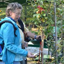 Mittels fachkundiger Beratung konnten die rund 2.500 BesucherInnen die richtige Obstsorte und die passende Baumform für eine Neupflanzung im eigenen Garten finden.