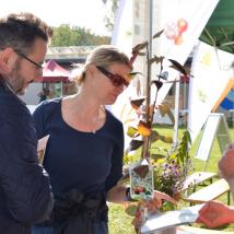 Von 12 bis 17 Uhr können die BesucherInnen Obstbäume erwerben, Obstraritäten aus ihrem eigenen Garten bestimmen lassen und sich bei ExpertInnen Tipps und Tricks rund um das Thema nachhaltiges Gärtnern abholen.