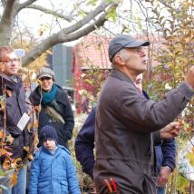 Von 12 bis 17 Uhr können die BesucherInnen Obstbäume erwerben, Obstraritäten aus ihrem eigenen Garten bestimmen lassen und sich bei ExpertInnen Tipps und Tricks rund um das Thema nachhaltiges Gärtnern abholen. 