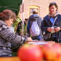 Rund 50 Apfel- und Birnensorten wurden zur Bestimmung abgegeben. Darunter Raritäten wie Kalterer Böhmer, Grüner Fürstenapfel und Champagner Renette.