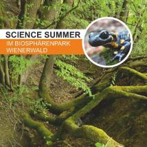 Science Summer 2020 Folder