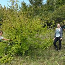 Freiwillige beim Landschaftspflegeeinsatz