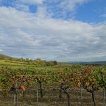 BP exklusiv - Vom Wein zum Wasser