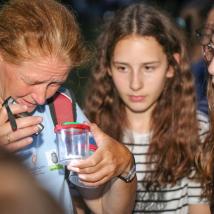 Jugendliche schauen Expertin bei der Arbeit über die Schulter