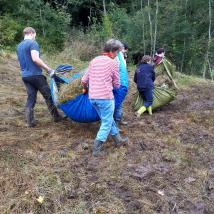 Landschaftspflegeeinsatz auf der Zichtelwiese in Breitenfurt