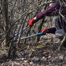 freiwillige Helferin schneidet einen Busch
