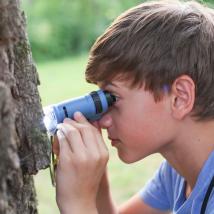 Junge schaut aus der Nähe mit einen Fernglas auf einen Baum