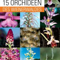 Cover 15 Orchideen des Wienerwaldes