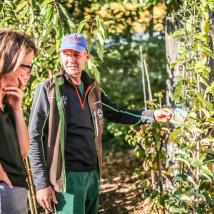 Verkäufer berät Kundin beim Obstbaumkauf