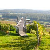 Ausblicksplattform mit Aussicht über Weinberge