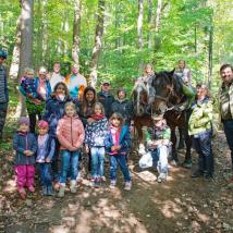 Gruppe mit Norikern im Wald