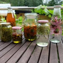 Kräuter in Glas