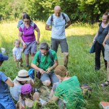 Naturführungen und ein umfangreiches Programm erwartet die BesucherInnen am Fest der Artenvielfalt am 11. Juni 2022 in Ottakring