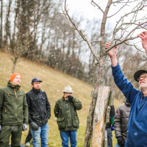 Obstbaumschnittkurse 2023