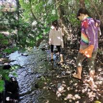 Kinder im Wald