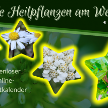 Adventkalender