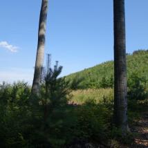 Blick in den Wienerwald