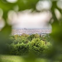 Blick vom Cobenzl über Wien