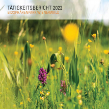 Tätigkeitsbericht 2022