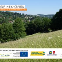 Buchcover - Wiese mit Wald im Hintergrund